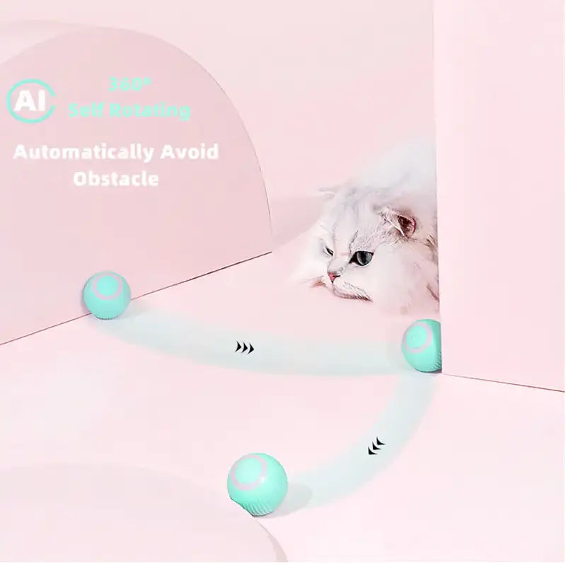 Smart Cat Ball Toys My Store